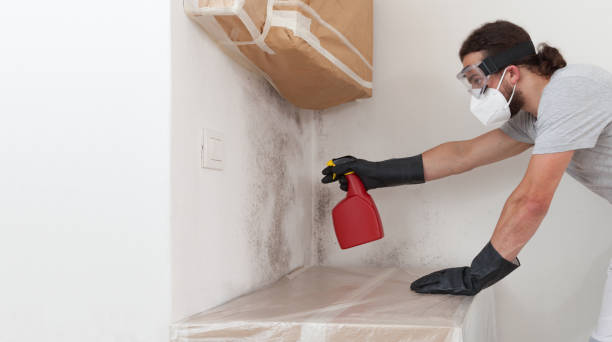 Professional Bathroom Mold Removal technician working in Allenwood, NJ